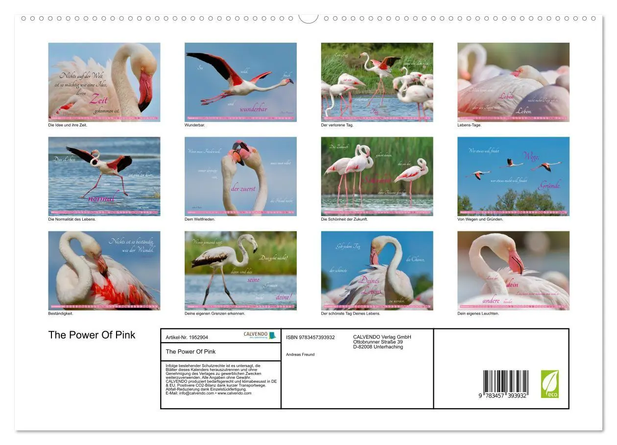 Bild: 9783457393932 | The Power Of Pink (hochwertiger Premium Wandkalender 2026 DIN A2...