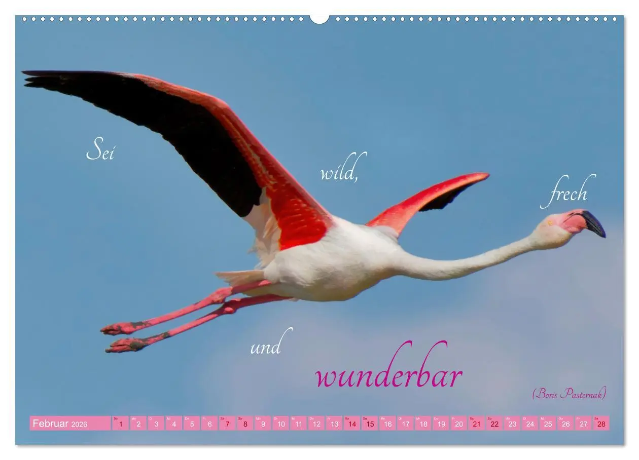 Bild: 9783457393932 | The Power Of Pink (hochwertiger Premium Wandkalender 2026 DIN A2...
