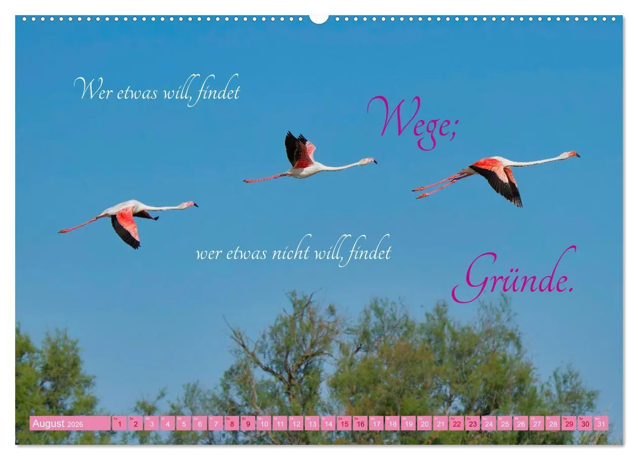 Bild: 9783457393932 | The Power Of Pink (hochwertiger Premium Wandkalender 2026 DIN A2...
