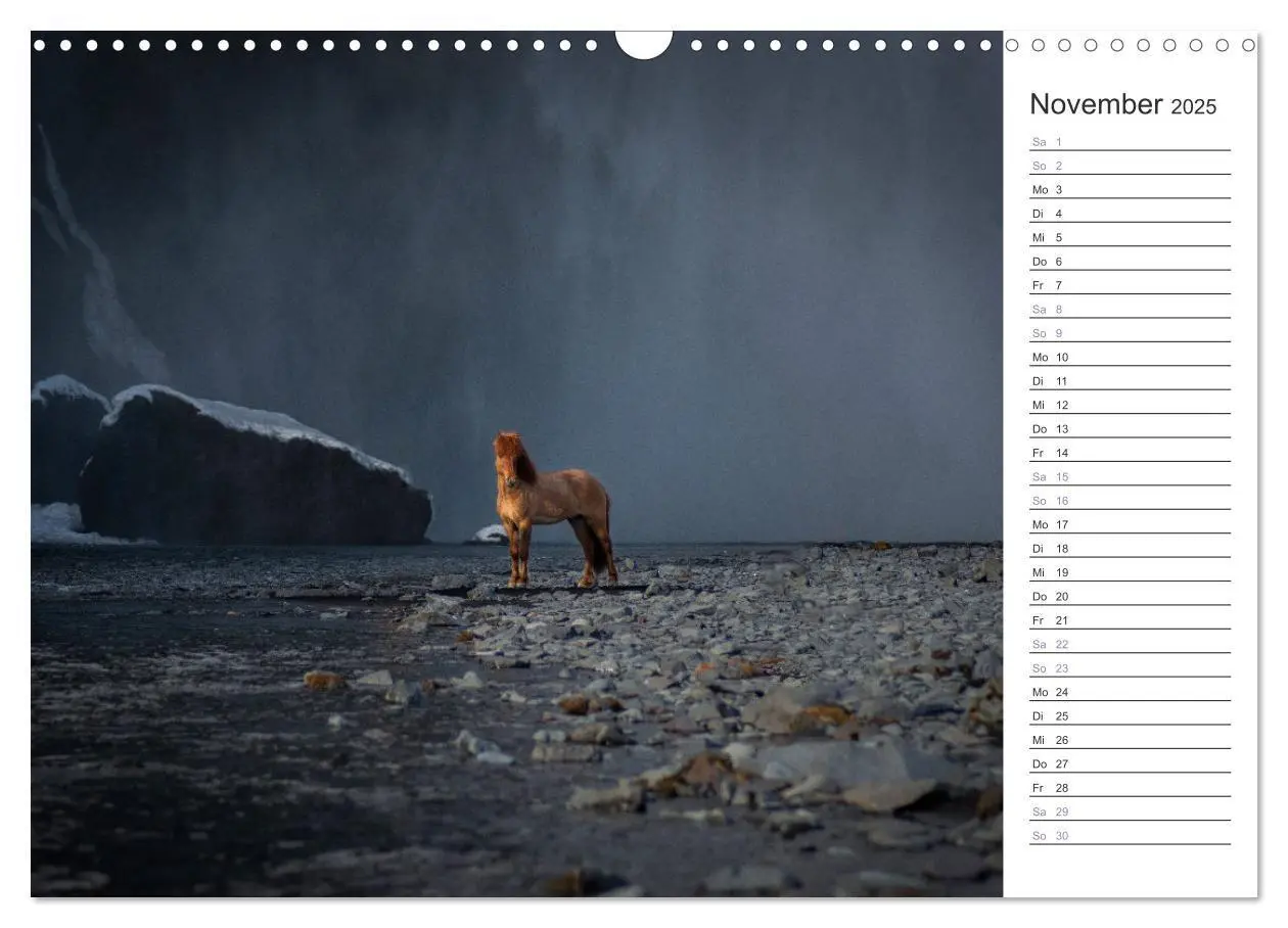 Bild: 9783383934032 | Islandpferde Kalender (Wandkalender 2025 DIN A3 quer), CALVENDO...