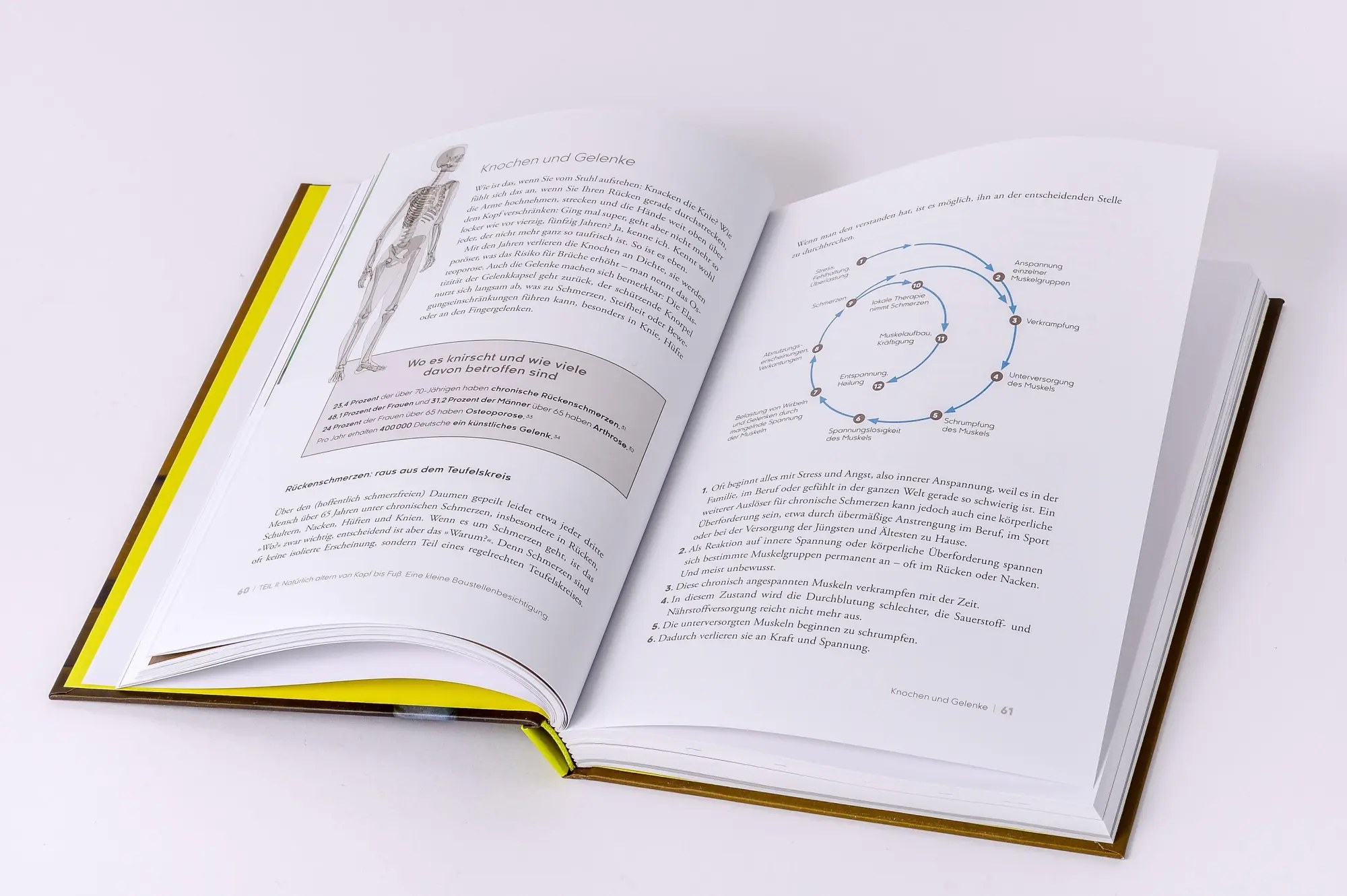Bild: 9783517104232 | Natürlich altern! | Dietrich Grönemeyer | Buch | 272 S. | Deutsch