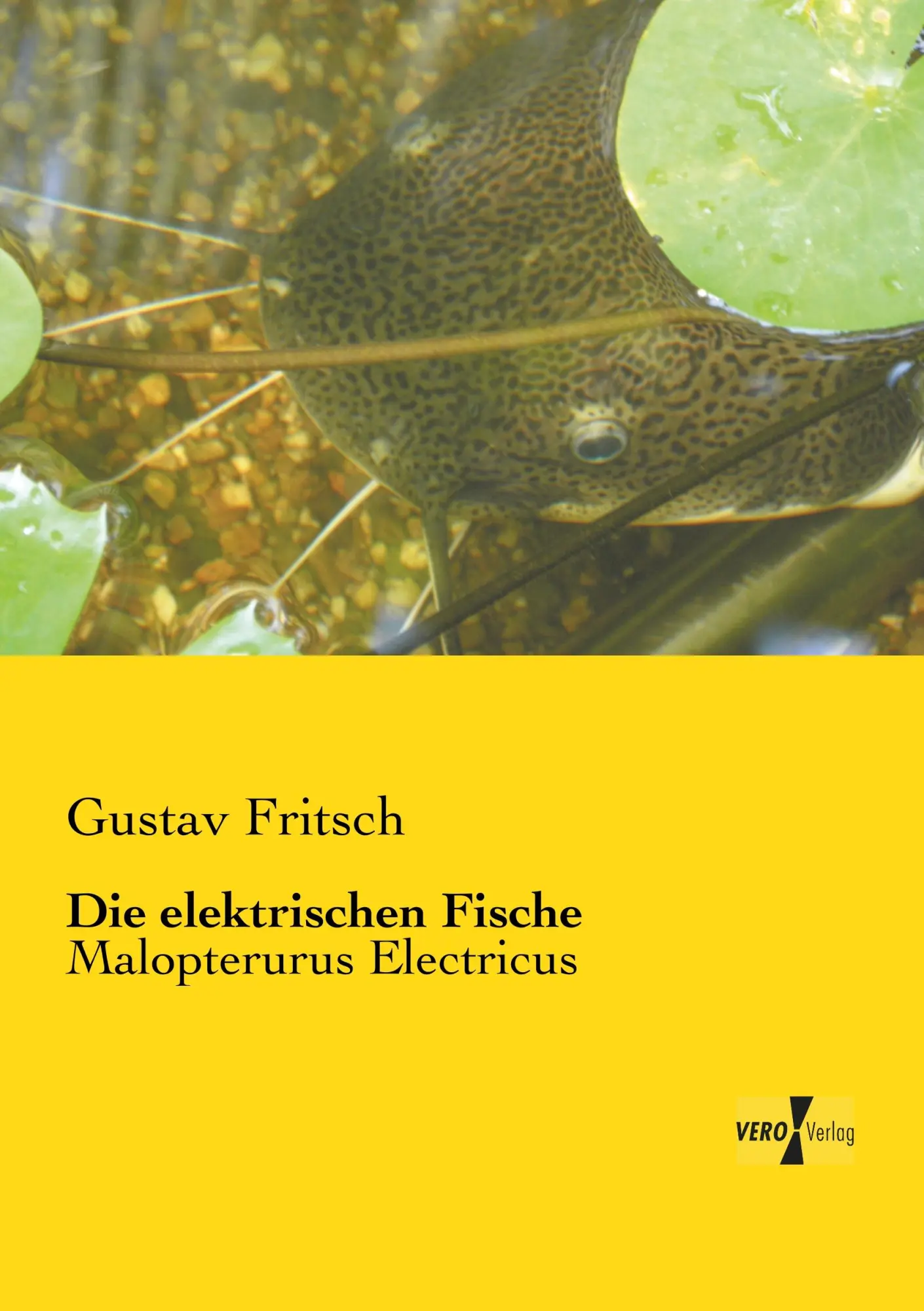 Cover: 9783957384232 | Die elektrischen Fische | Malopterurus Electricus | Gustav Fritsch