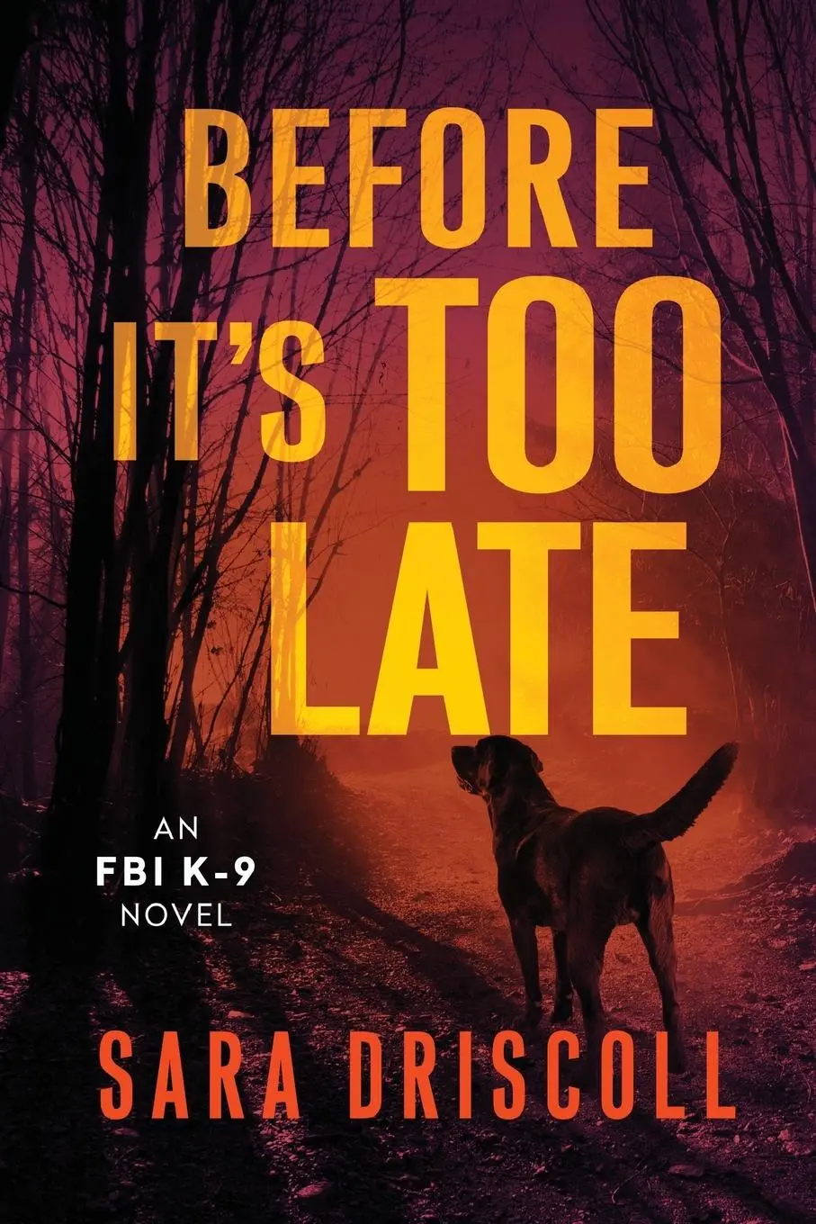 Cover: 9781496754332 | Before It's Too Late | Sara Driscoll | Taschenbuch | Englisch | 2024