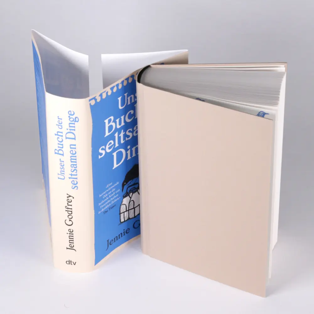 Bild: 9783423284332 | Unser Buch der seltsamen Dinge | Jennie Godfrey | Buch | 464 S. | 2024