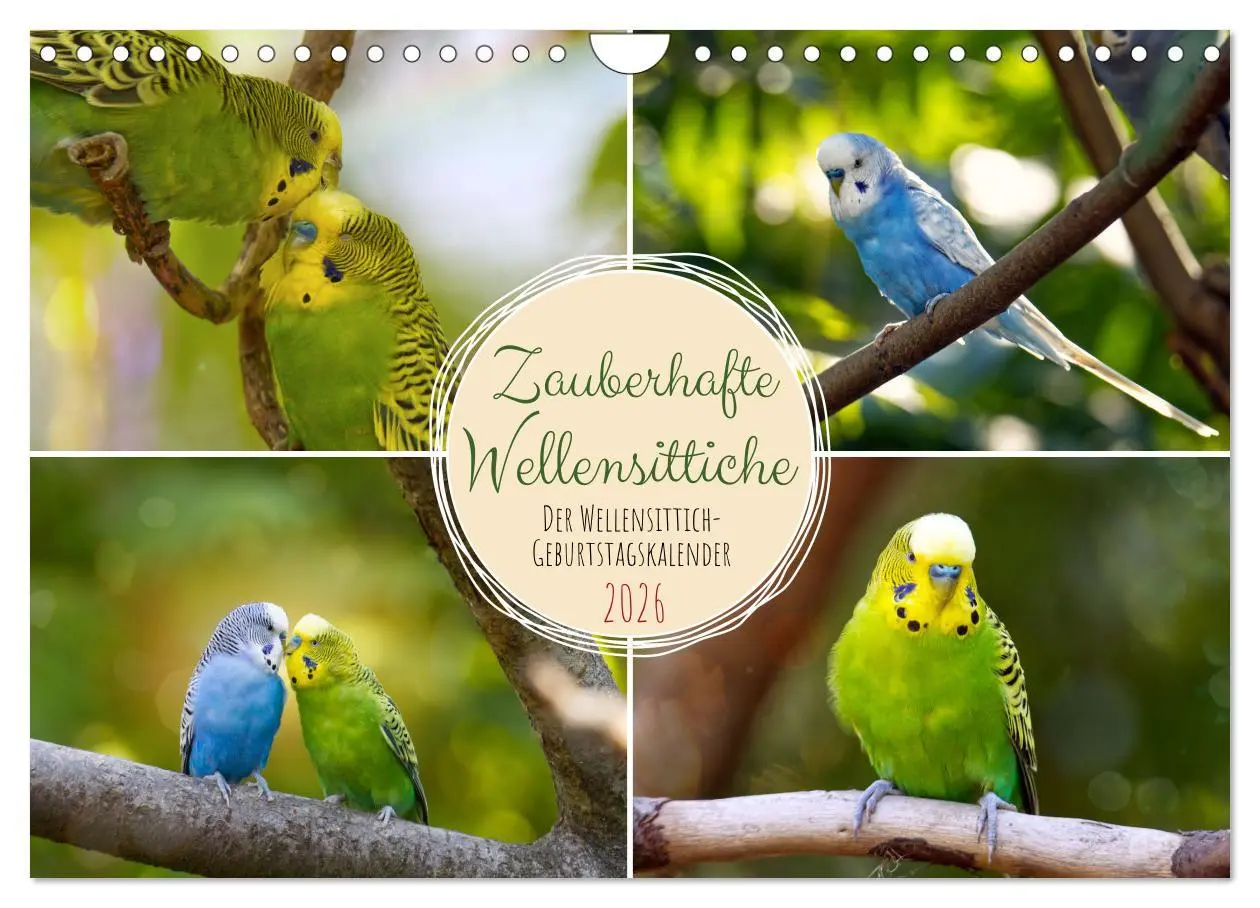Cover: 9783457564332 | Zauberhafte Wellensittiche (Wandkalender 2026 DIN A4 quer),...