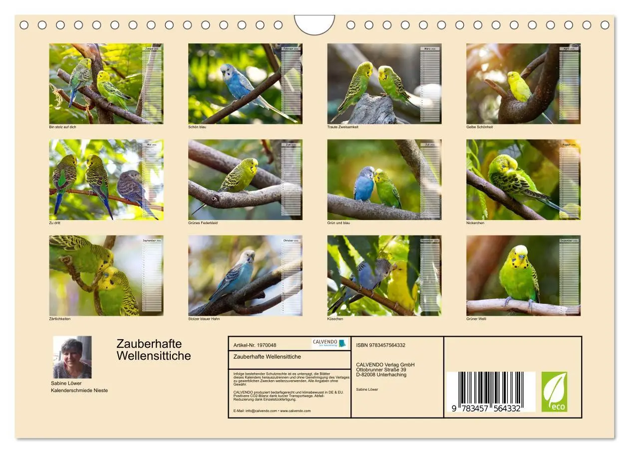 Bild: 9783457564332 | Zauberhafte Wellensittiche (Wandkalender 2026 DIN A4 quer),...