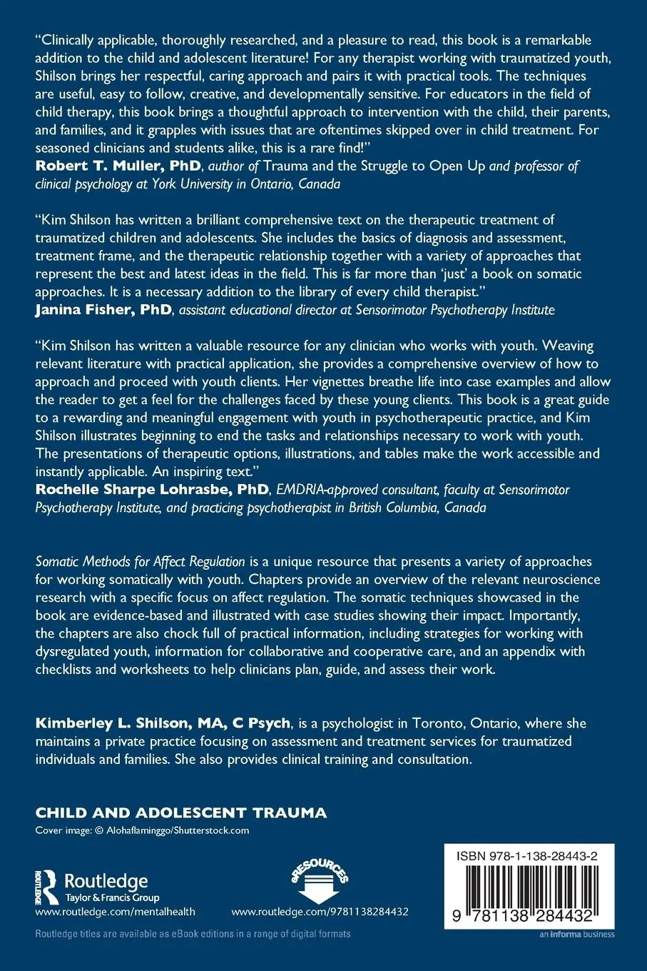 Rückseite: 9781138284432 | Somatic Methods for Affect Regulation | Kimberley L. Shilson | Buch