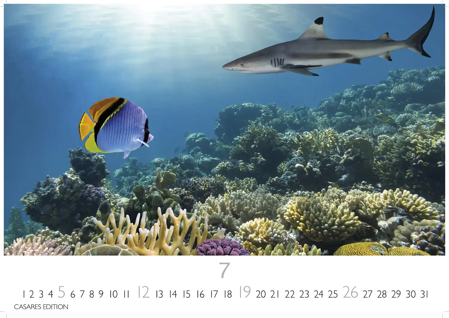 Bild: 9781835244432 | Unterwasserwelten Kalender 2026 24x35cm - Atemberaubende...