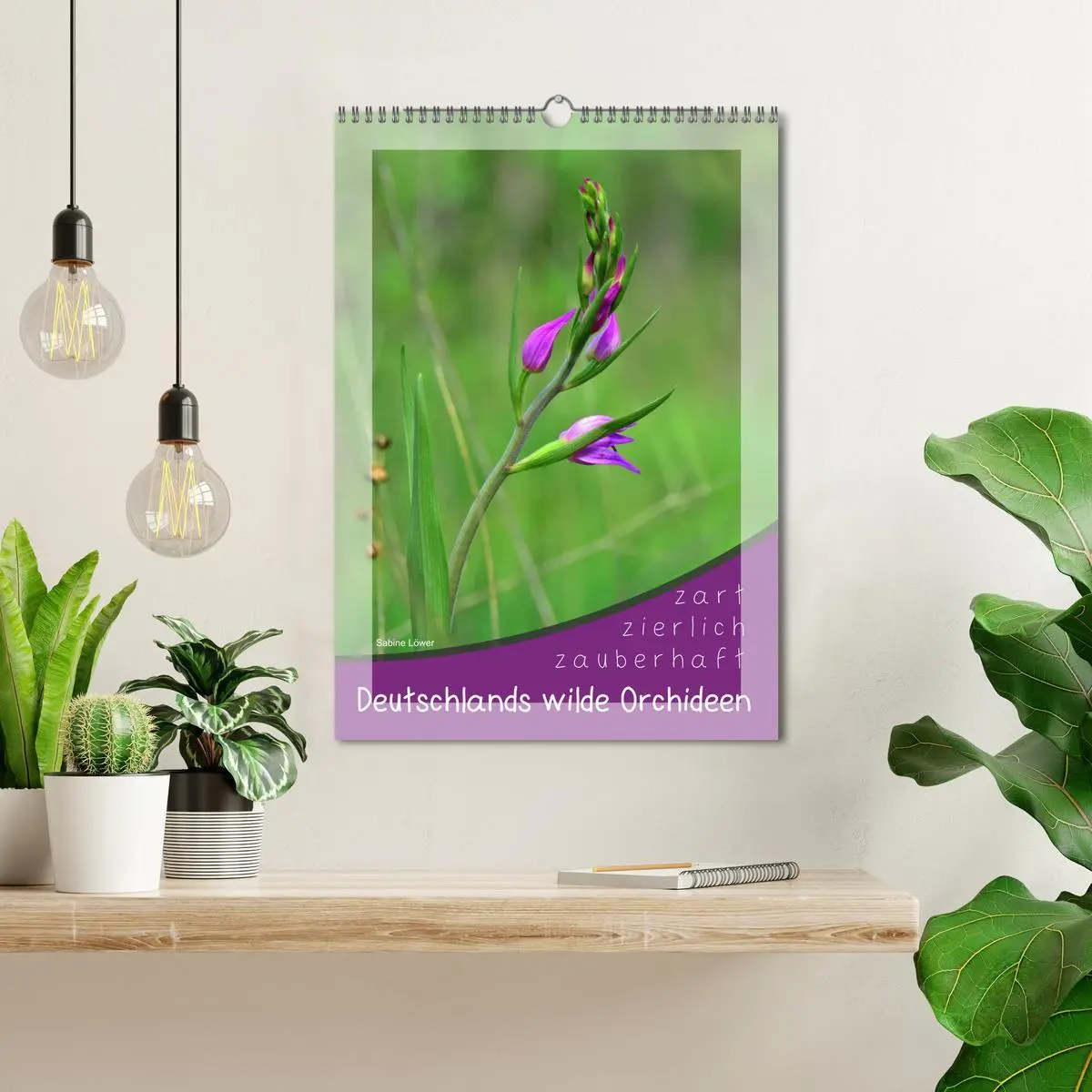 Bild: 9783516404432 | Deutschlands wilde Orchideen (Wandkalender 2026 DIN A3 hoch),...
