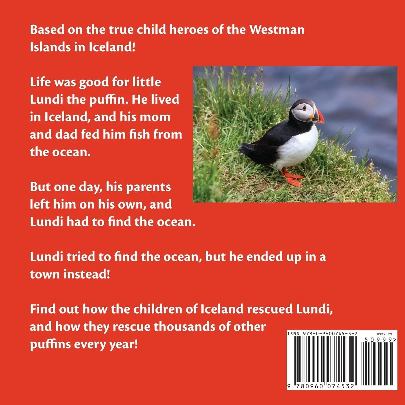 Rückseite: 9780960074532 | Lundi the Lost Puffin | The Child Heroes of Iceland | Eric Newman
