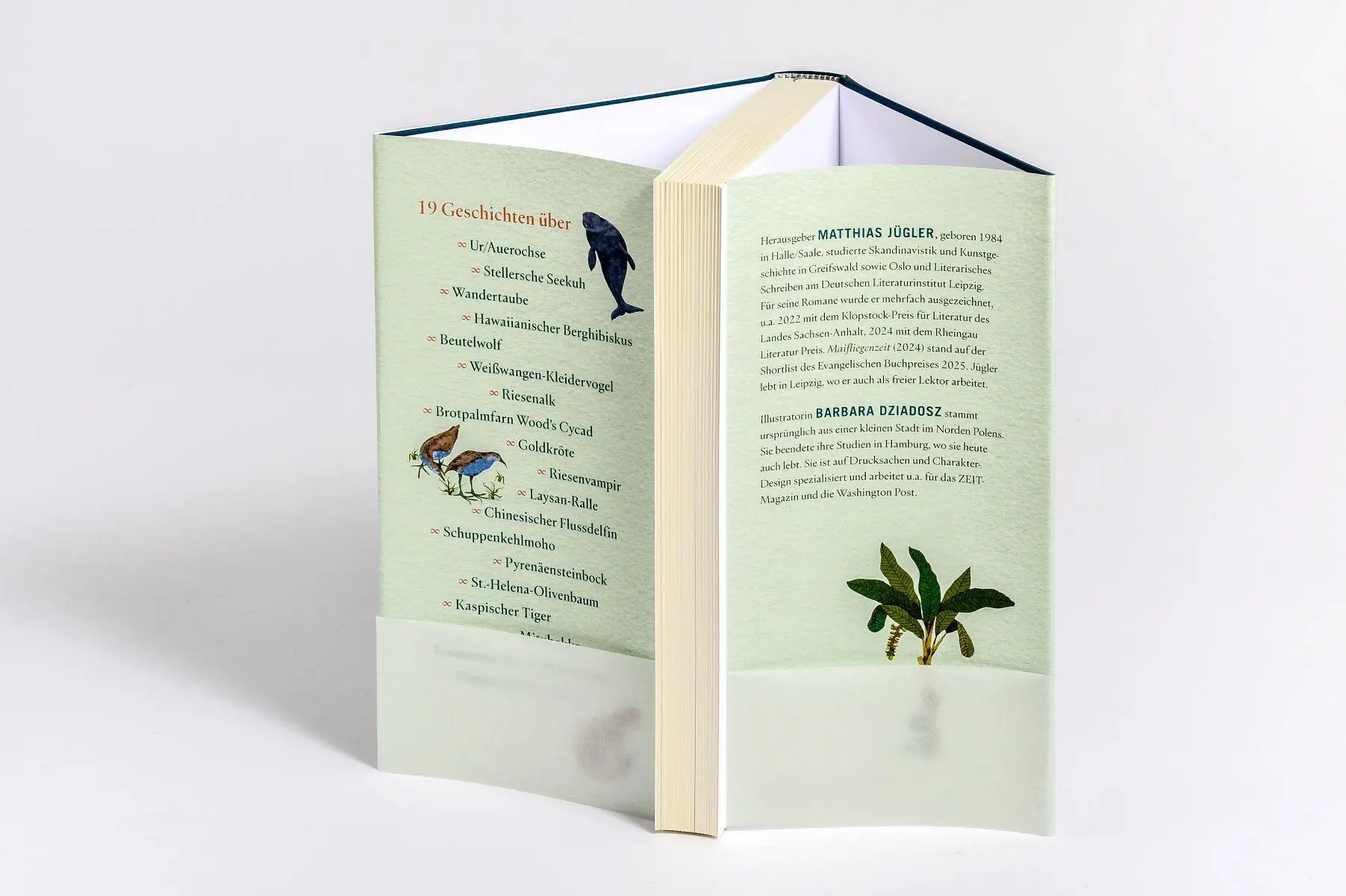 Bild: 9783328604532 | Wir dachten, wir könnten fliegen | Matthias Jügler | Buch | 256 S.