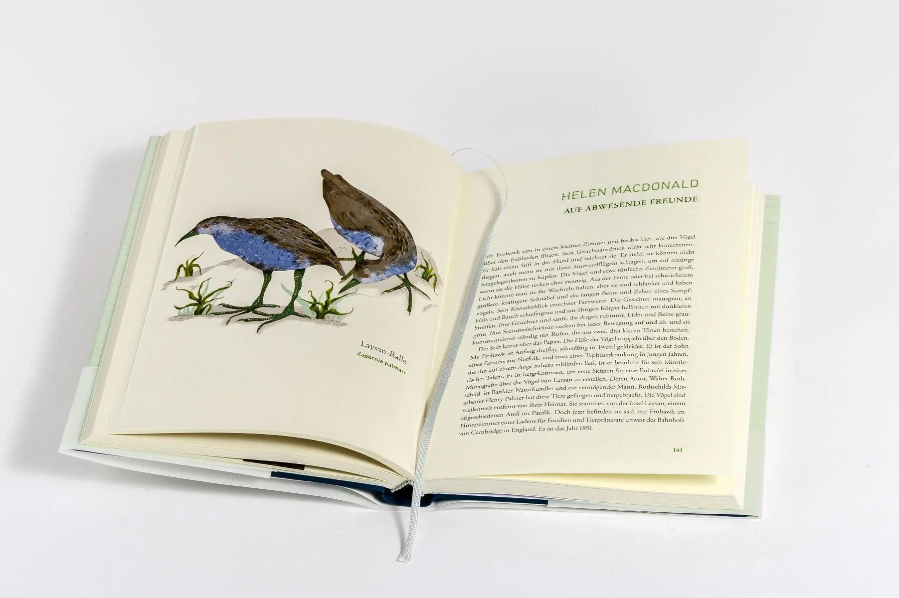 Bild: 9783328604532 | Wir dachten, wir könnten fliegen | Matthias Jügler | Buch | 256 S.