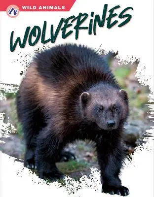 Cover: 9781637384732 | Wolverines | Megan Gendell | Taschenbuch | Englisch | 2023