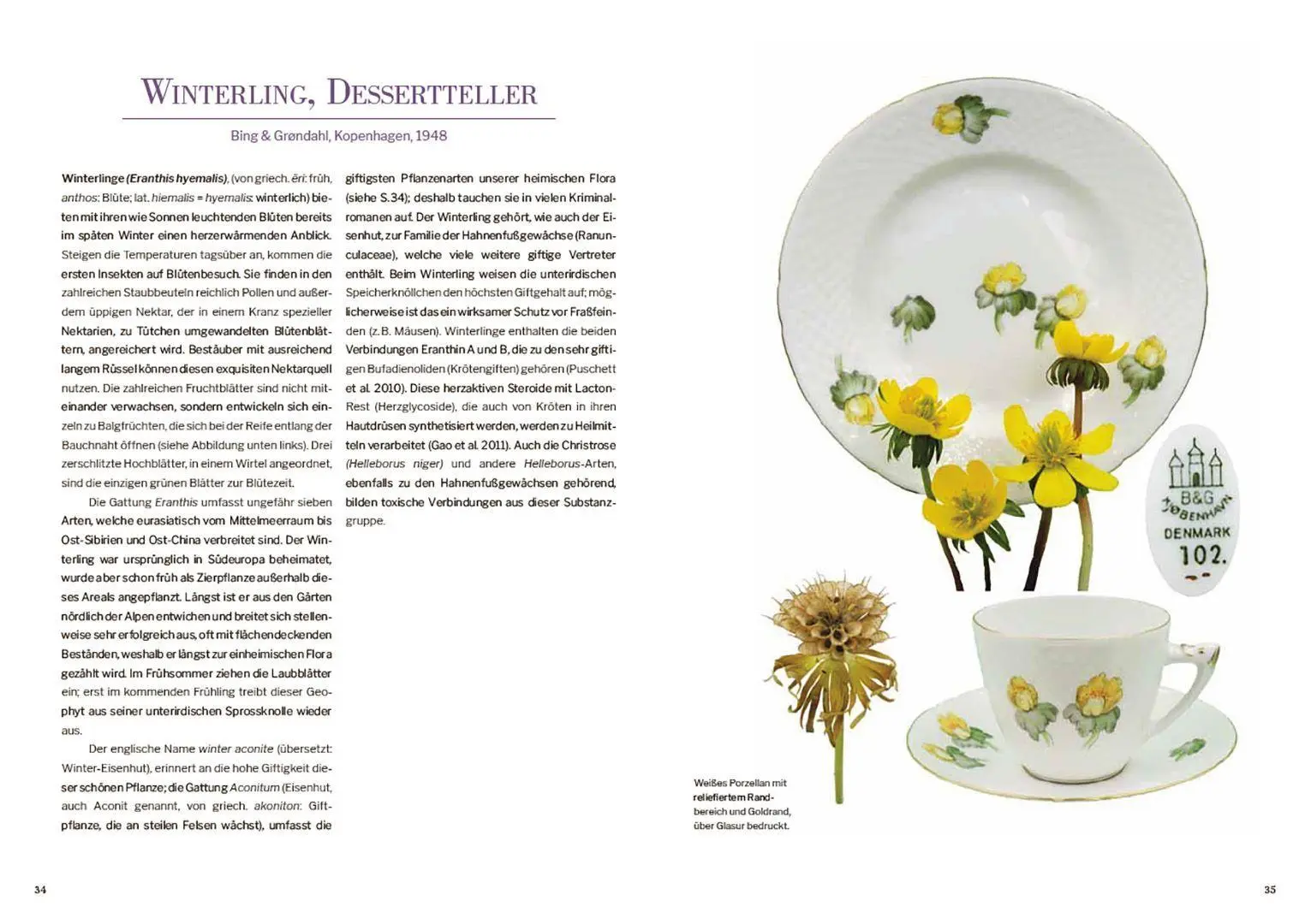 Bild: 9783258084732 | Das Herbarium floraler Dekore | Rosmarie Honegger | Buch | 180 S.