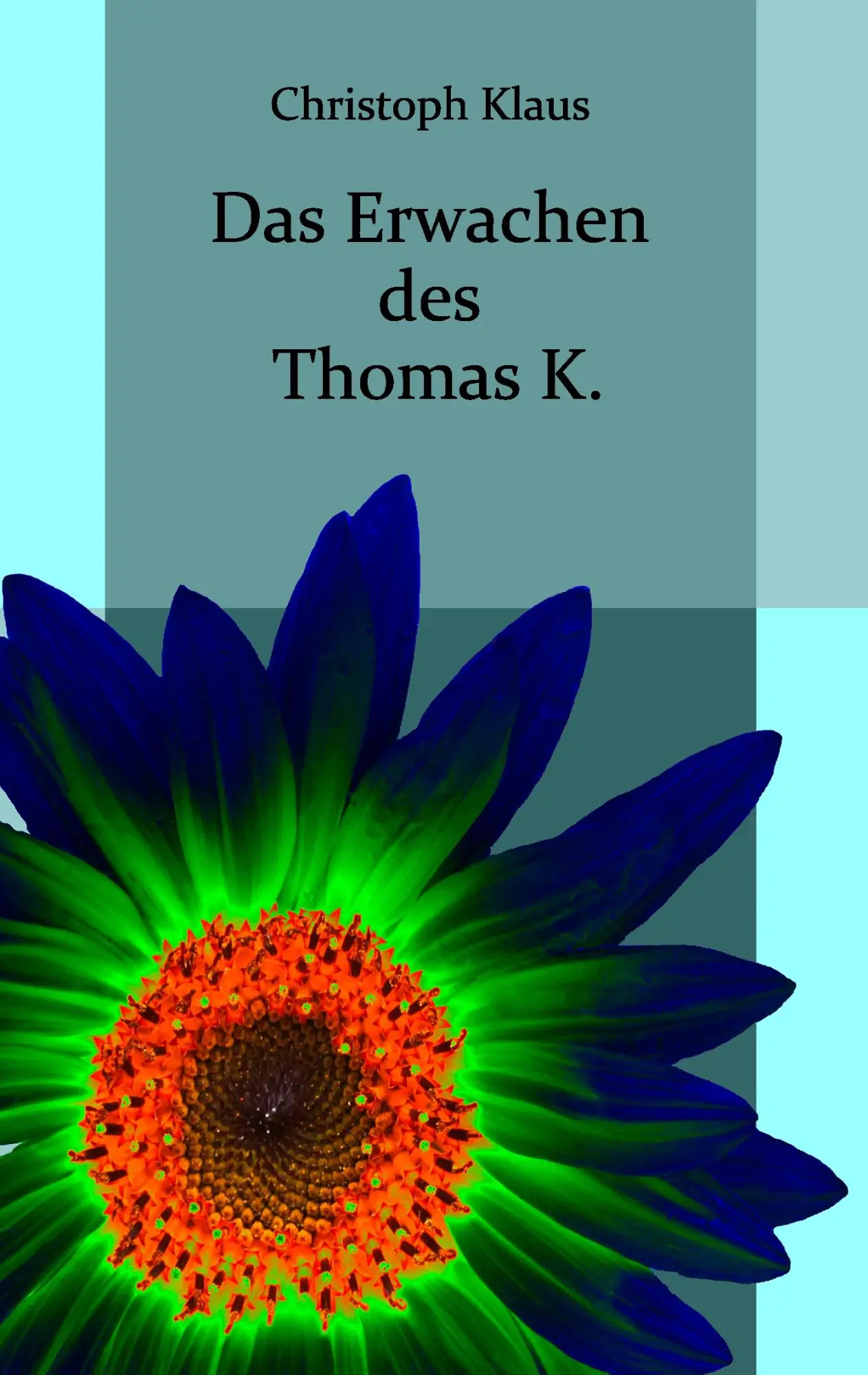 Cover: 9783732294732 | Das Erwachen des Thomas K. | Christoph Klaus | Taschenbuch | 88 S.