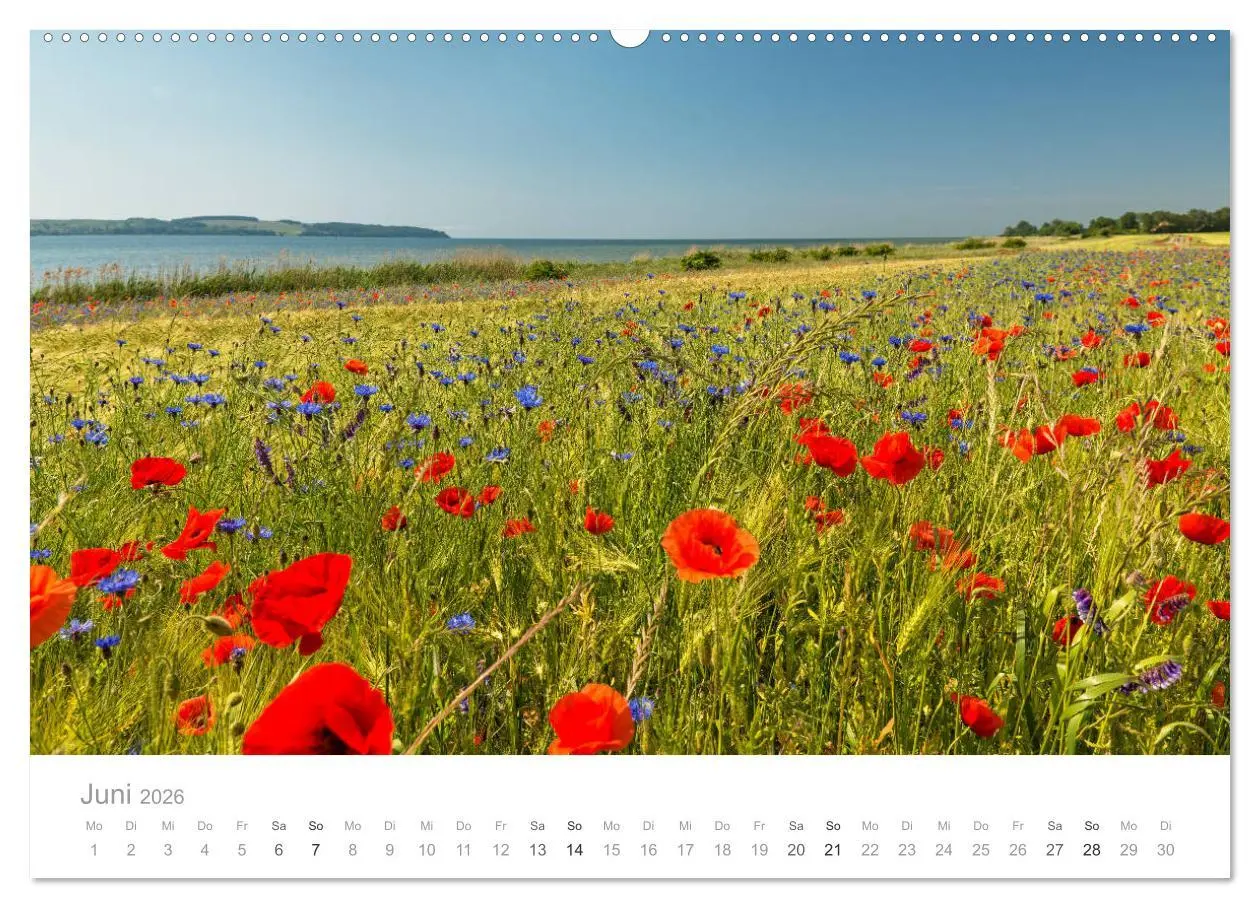 Bild: 9783457754832 | Rügen ein Sommertraum (hochwertiger Premium Wandkalender 2026 DIN...