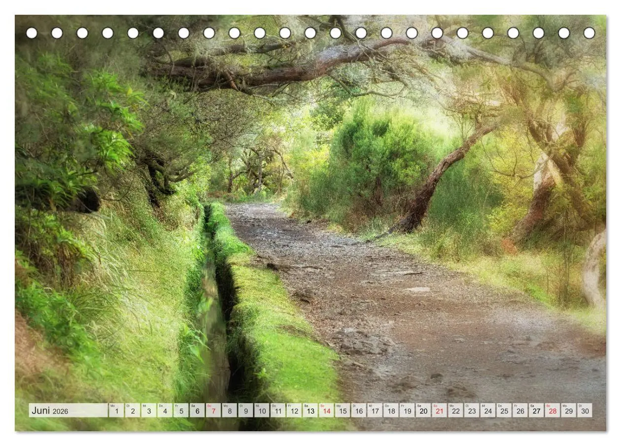 Bild: 9783457824832 | Madeira - eine Rundreise (Tischkalender 2026 DIN A5 quer), CALVENDO...