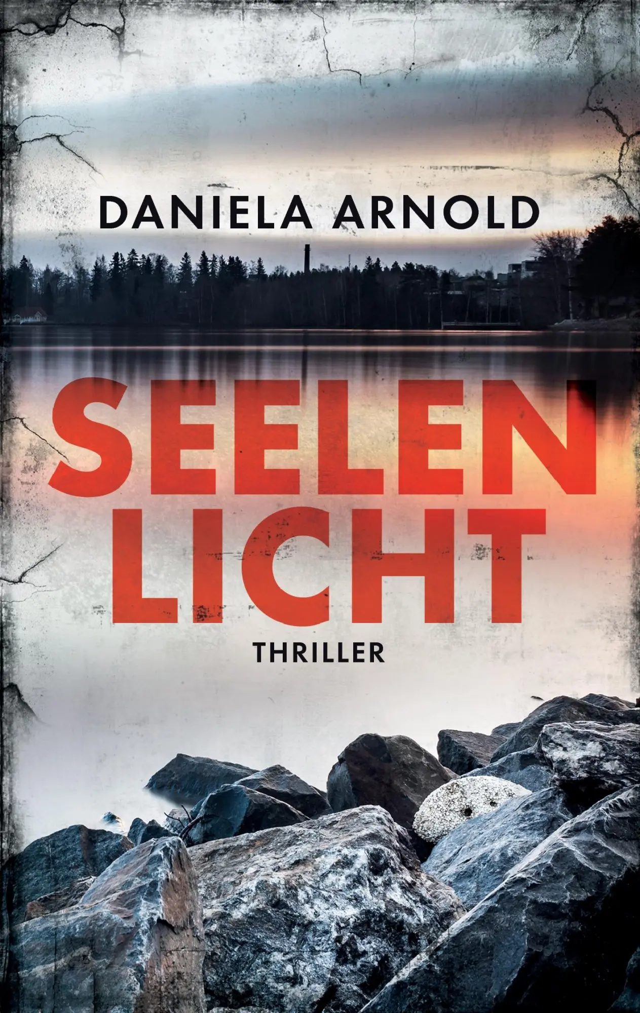 Cover: 9783744854832 | Seelenlicht | Thriller | Daniela Arnold | Taschenbuch | 236 S. | 2017