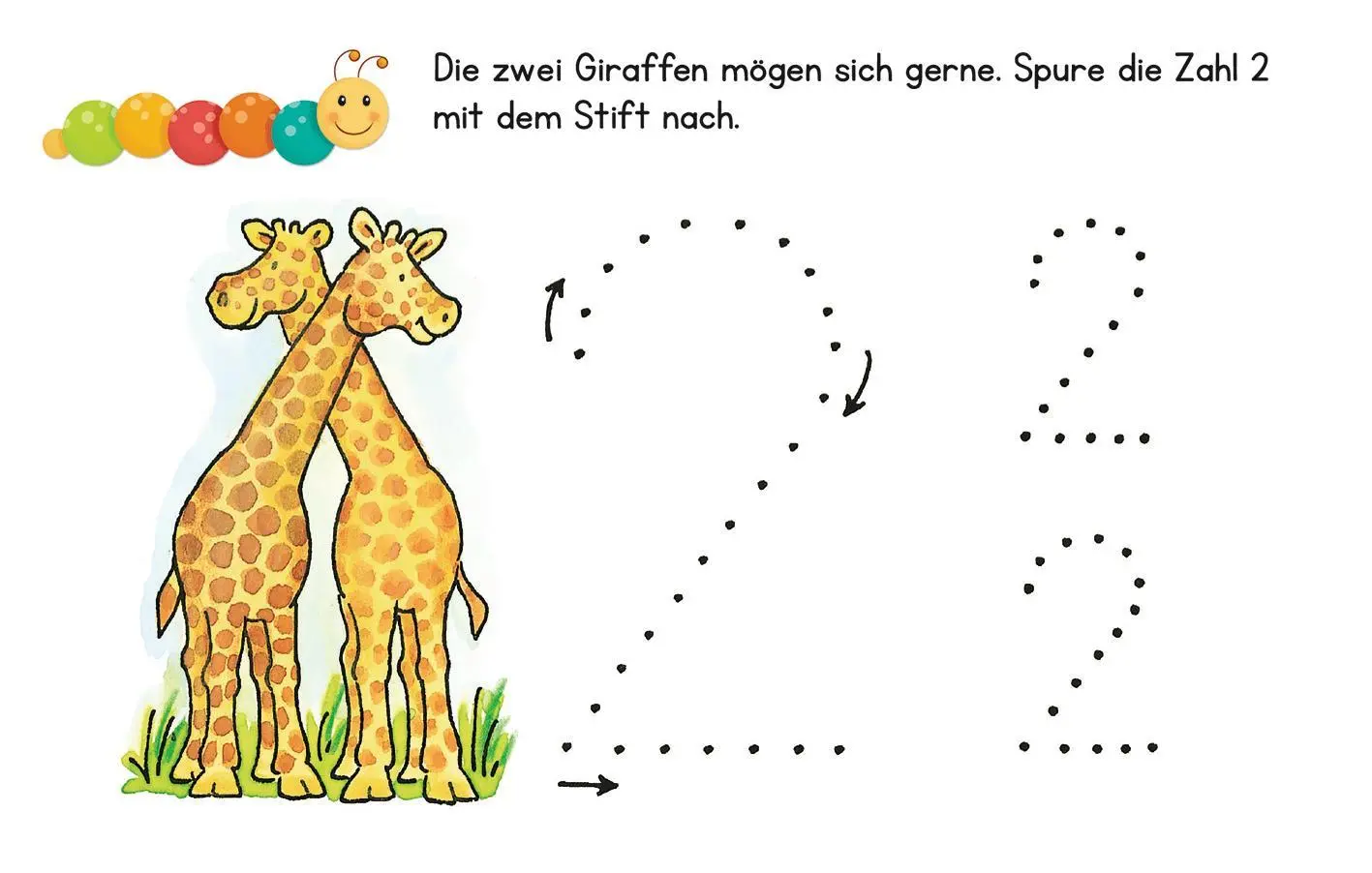 Bild: 9783845834832 | Lernraupe - Erste Zahlen | 50 Karten mit abwischbarem Stift | Buch