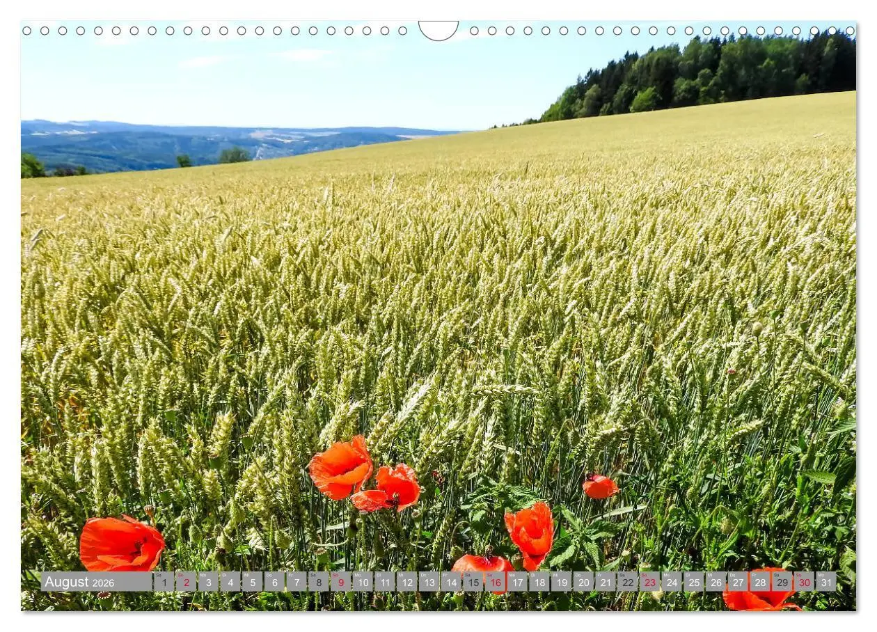 Bild: 9783457814932 | Wandern im Erzgebirge (Wandkalender 2026 DIN A3 quer), CALVENDO...