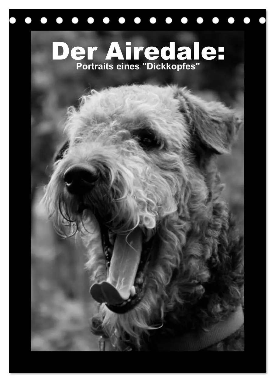 Cover: 9783516454932 | Der Airedale: Portraits eines "Dickkopfes" (Tischkalender 2026 DIN...