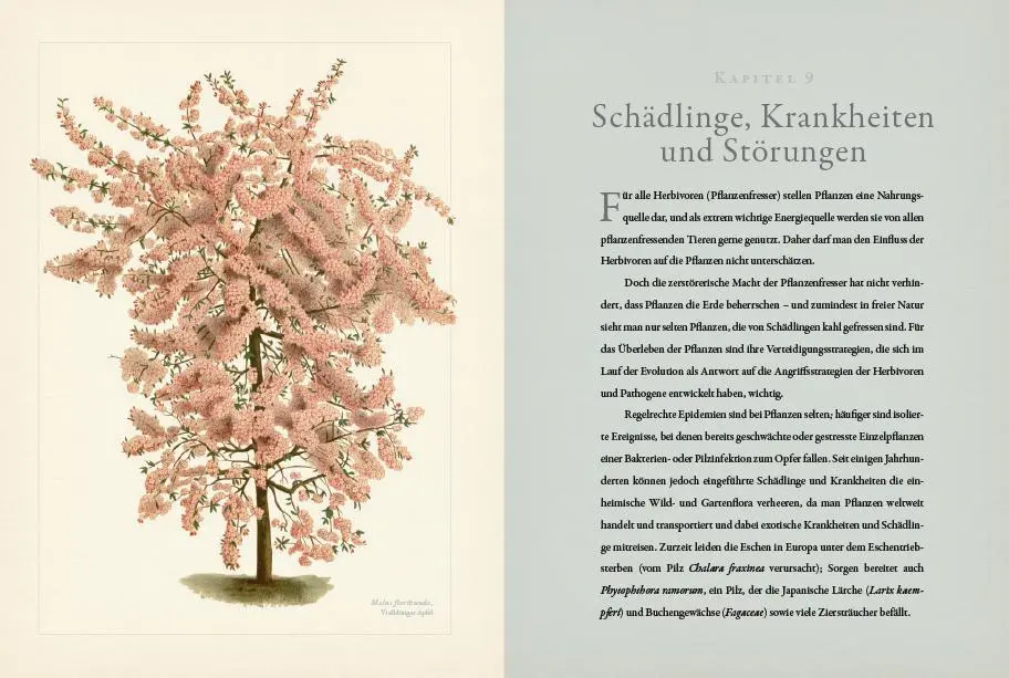 Bild: 9783832194932 | Botanik für Gärtner | Geoff Hodge | Buch | 224 S. | Deutsch | 2015