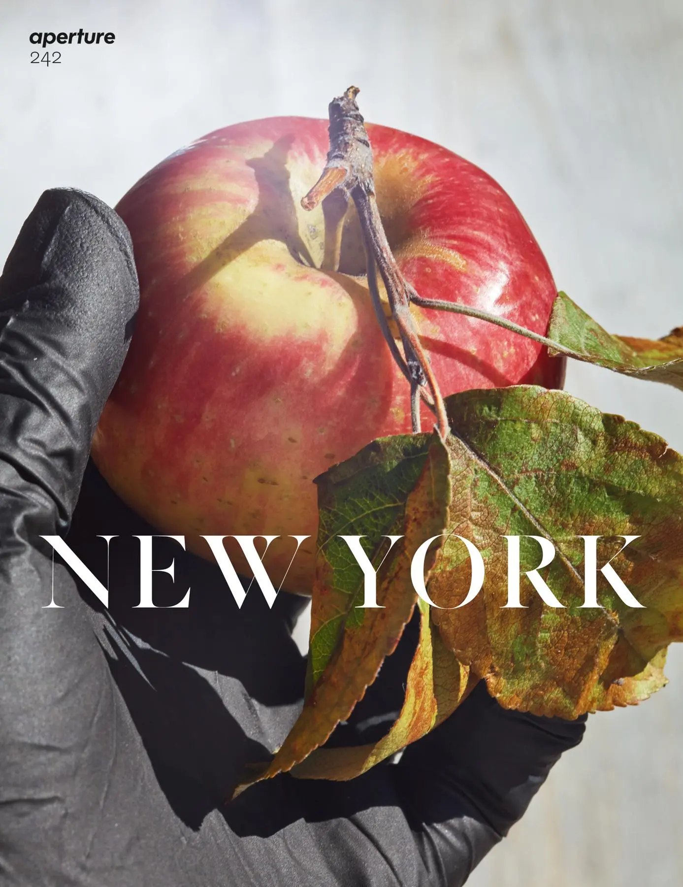 Cover: 9781597115032 | New York | Aperture 242 | Aperture | Taschenbuch | Englisch | 2021