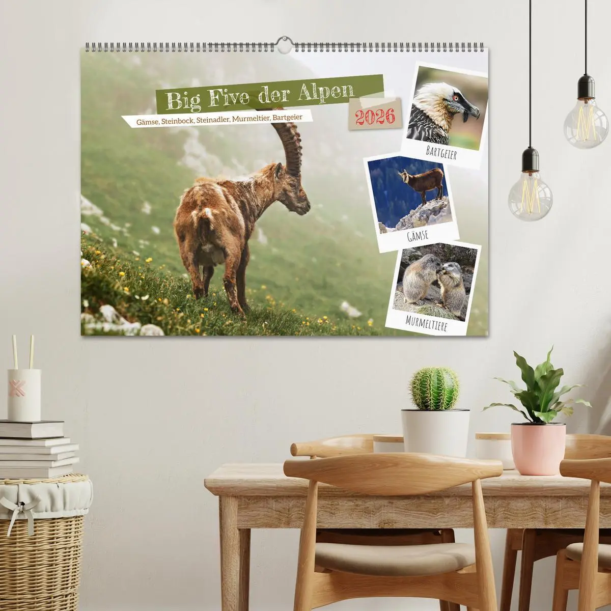Bild: 9783457495032 | Big Five der Alpen Gämse, Steinbock, Murmeltier, Steinadler,...