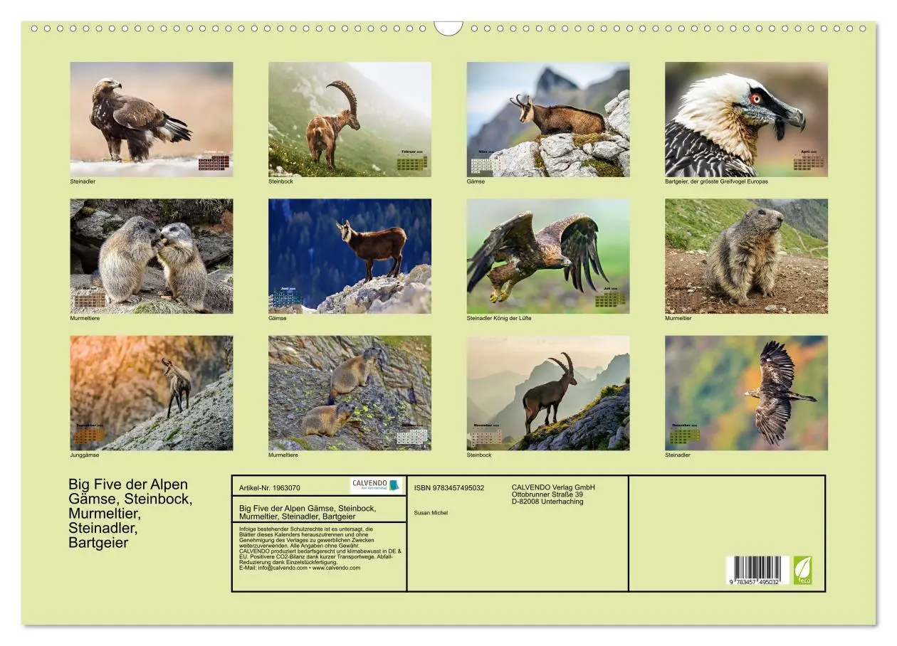 Bild: 9783457495032 | Big Five der Alpen Gämse, Steinbock, Murmeltier, Steinadler,...