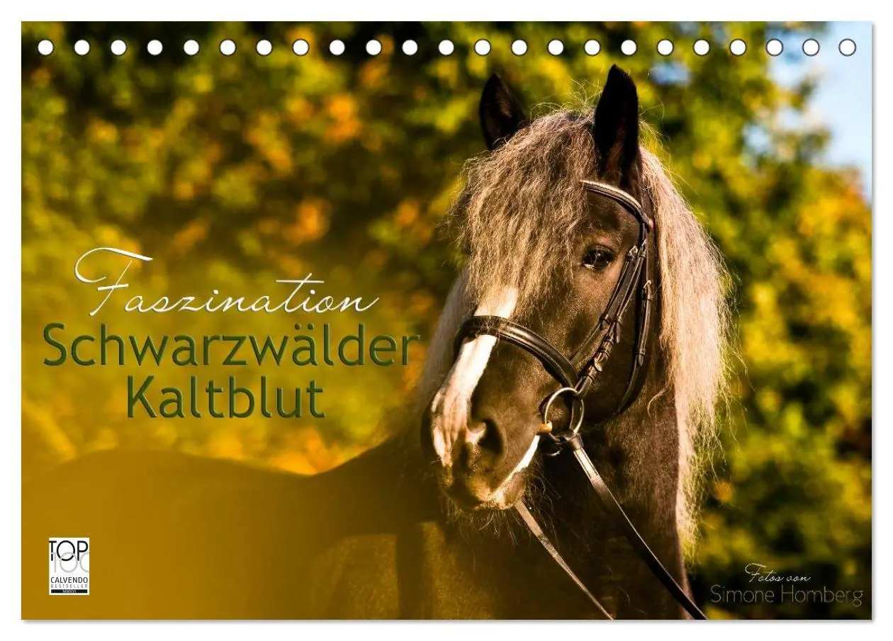 Cover: 9783516035032 | Faszination Schwarzwälder Kaltblut (Tischkalender 2026 DIN A5...