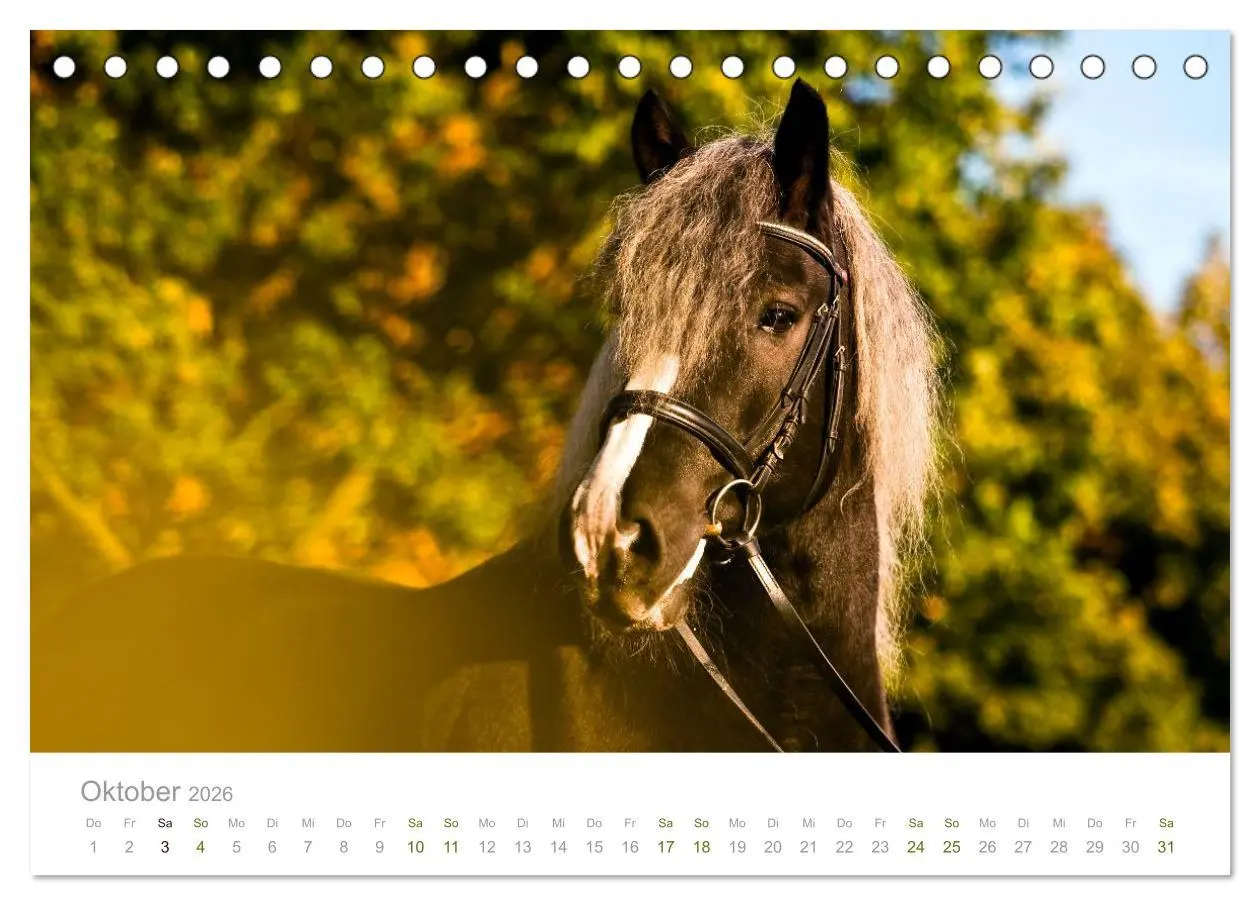 Bild: 9783516035032 | Faszination Schwarzwälder Kaltblut (Tischkalender 2026 DIN A5...