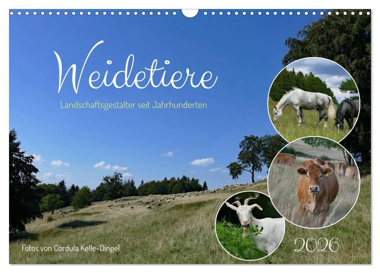 Cover: 9783516725032 | Weidetiere - Landschaftsgestalter seit Jahrhunderten (Wandkalender...
