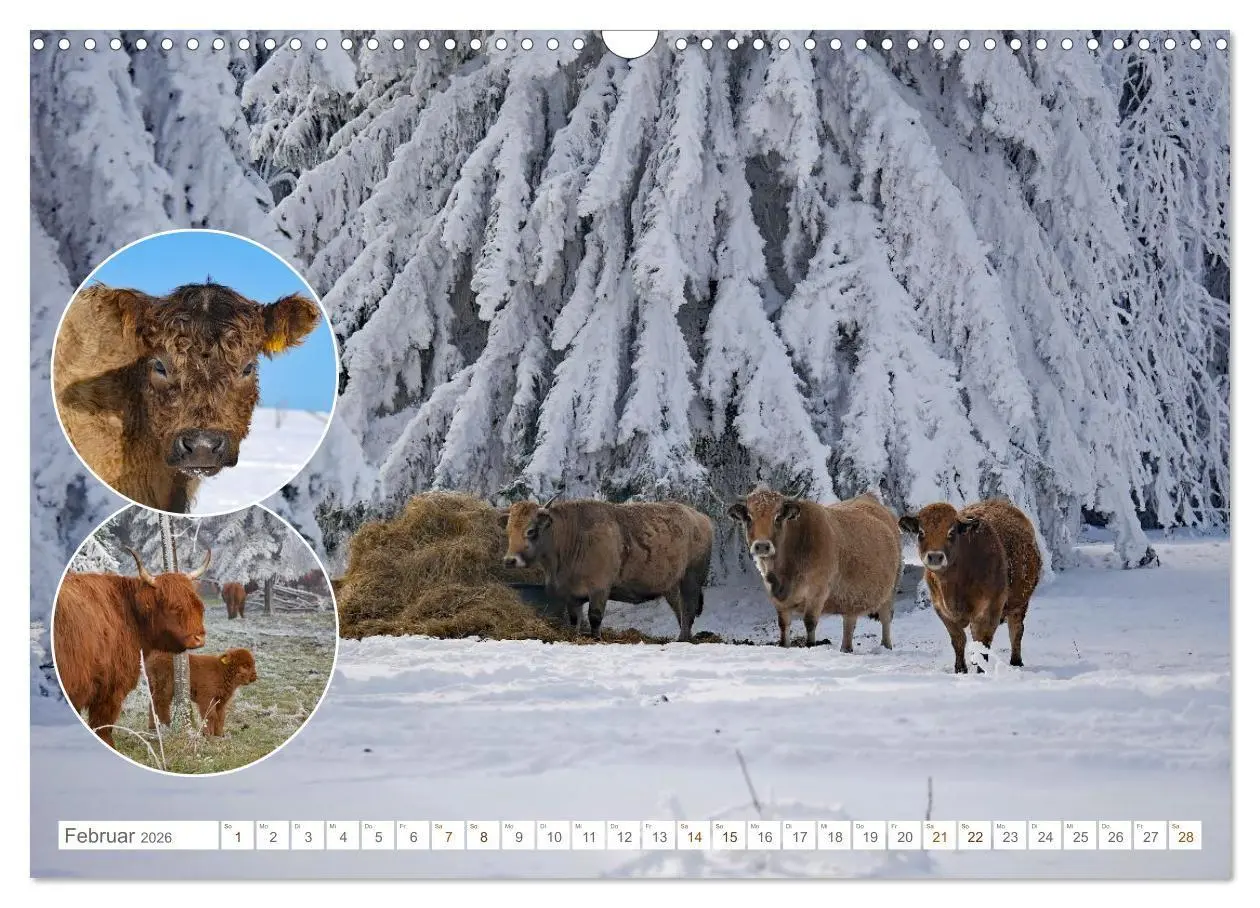 Bild: 9783516725032 | Weidetiere - Landschaftsgestalter seit Jahrhunderten (Wandkalender...