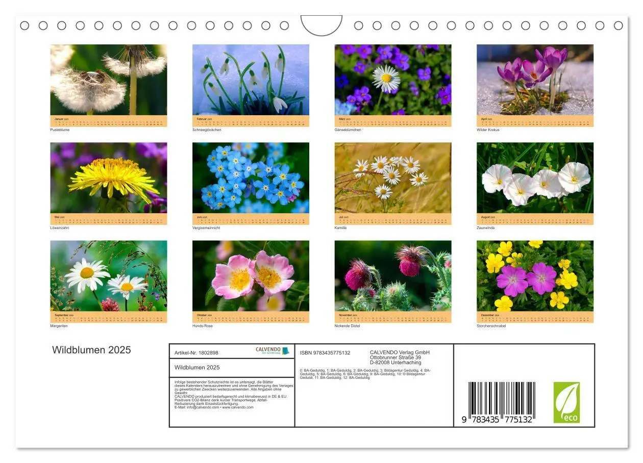 Bild: 9783435775132 | Wildblumen 2025 (Wandkalender 2025 DIN A4 quer), CALVENDO...