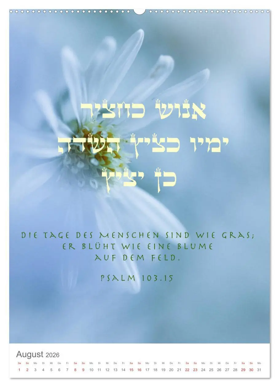 Bild: 9783516405132 | Psalmen Tehilim Hebräisch - Deutsch (Wandkalender 2026 DIN A2...