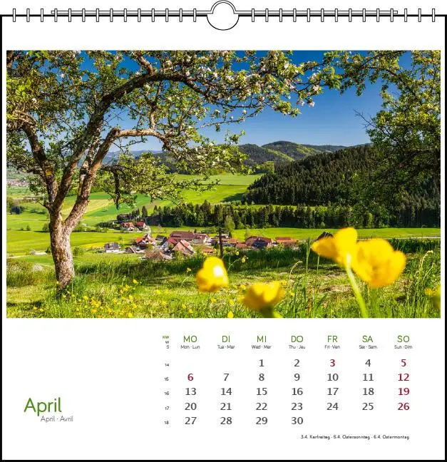 Bild: 9783861925132 | Schwarzwald 2026 | Postkarten-Tischkalender | Clemens Emmler | 13 S.