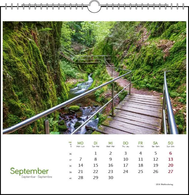 Bild: 9783861925132 | Schwarzwald 2026 | Postkarten-Tischkalender | Clemens Emmler | 13 S.