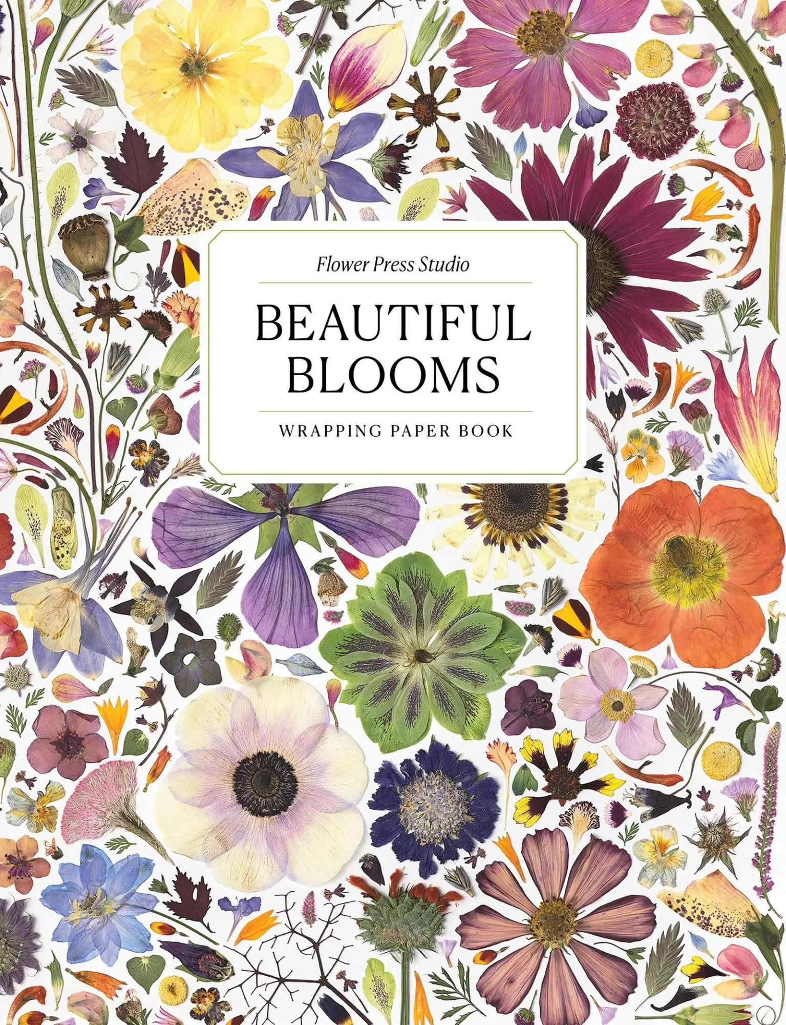 Cover: 9781648295232 | Beautiful Blooms Wrapping Paper Book | Rachel Parri (u. a.) | Buch