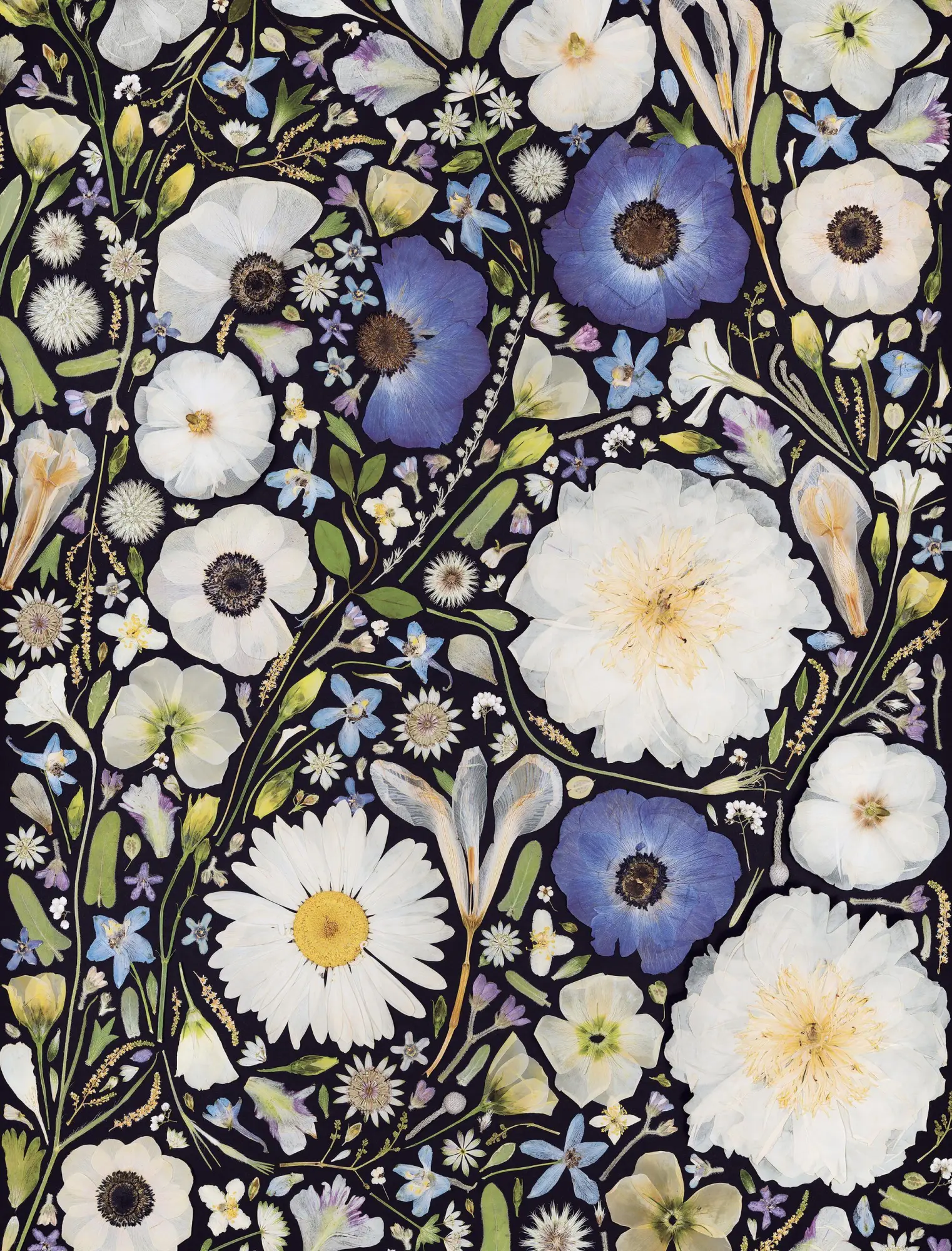 Bild: 9781648295232 | Beautiful Blooms Wrapping Paper Book | Rachel Parri (u. a.) | Buch