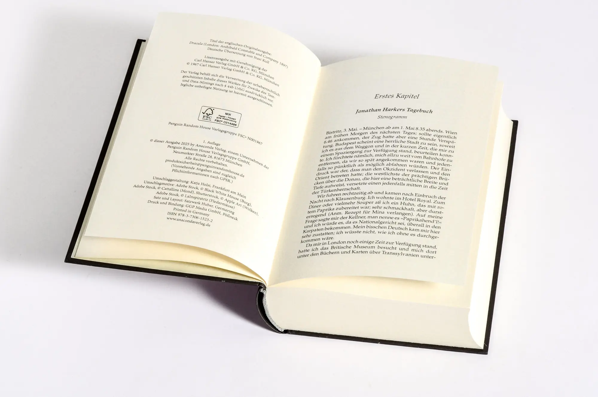 Bild: 9783730615232 | Dracula. Ein Vampirroman | Bram Stoker | Buch | 512 S. | Deutsch