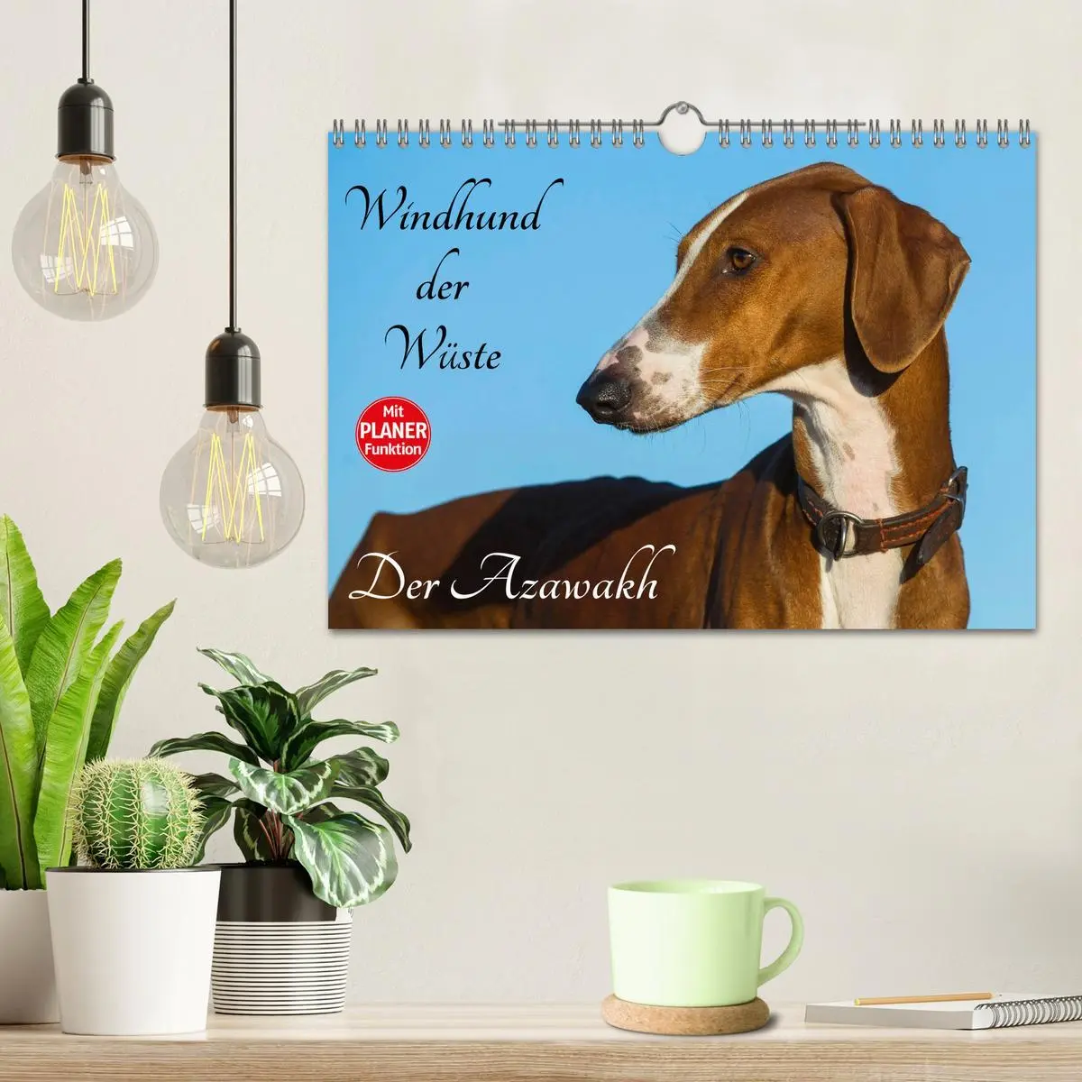 Bild: 9783516005332 | Windhund der Wüste - Der Azawakh (Wandkalender 2026 DIN A4 quer),...