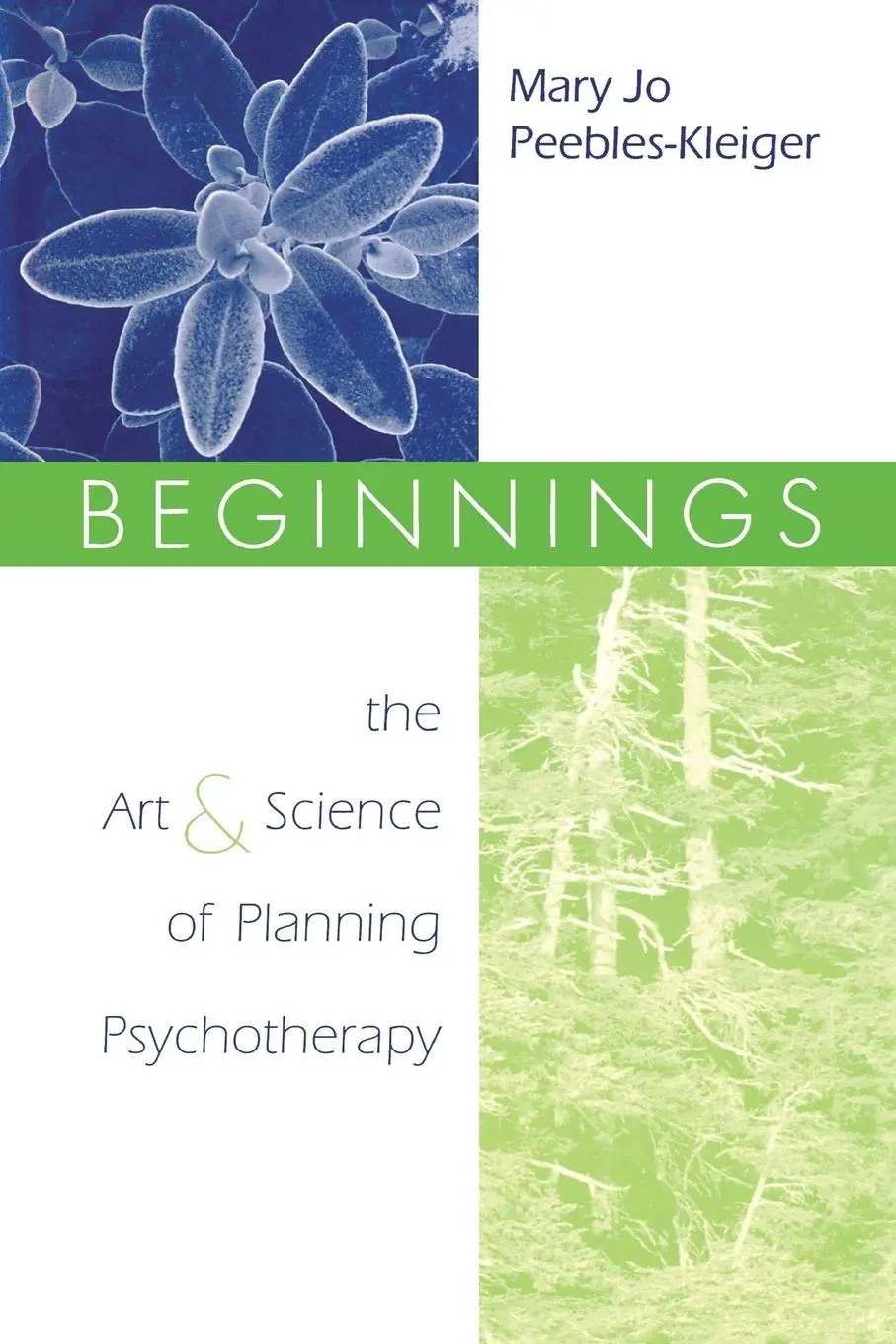 Cover: 9781138005532 | Beginnings | The Art and Science of Planning Psychotherapy | Buch