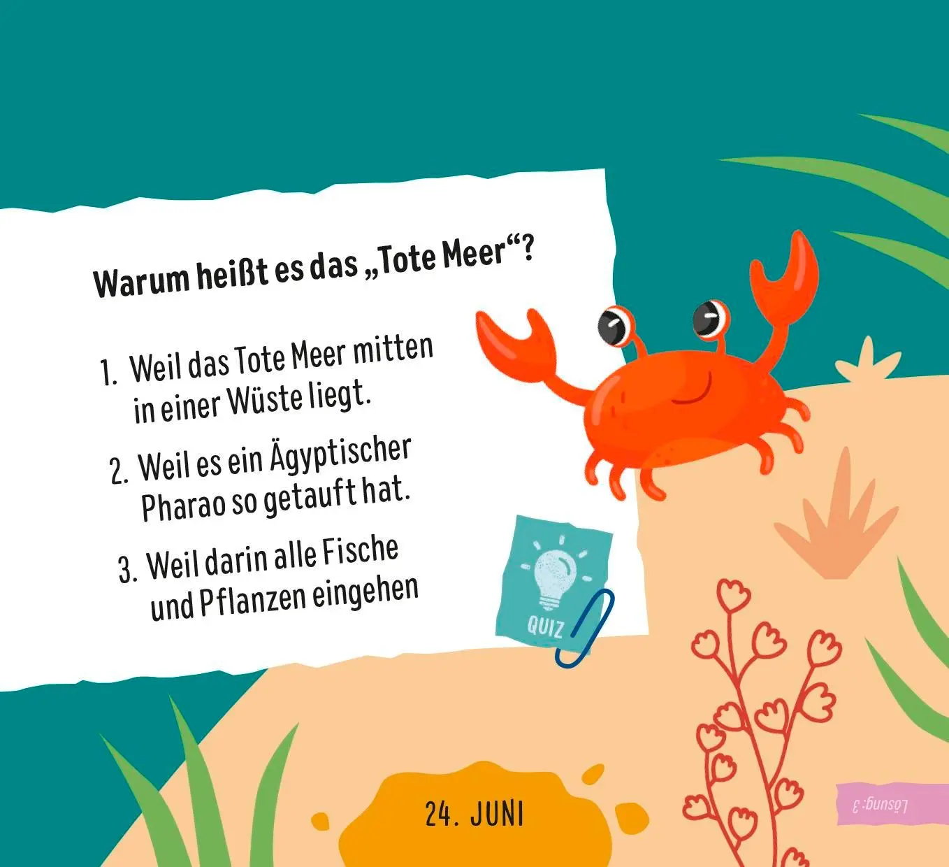 Bild: 9783629015532 | Wer steht im Wald und macht muh? | Pattloch Verlag | Taschenbuch