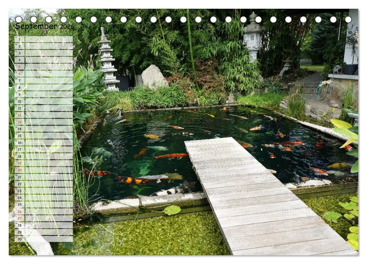 Bild: 9783457675632 | Koikichi Kalender 2026 (Tischkalender 2026 DIN A5 quer), CALVENDO...