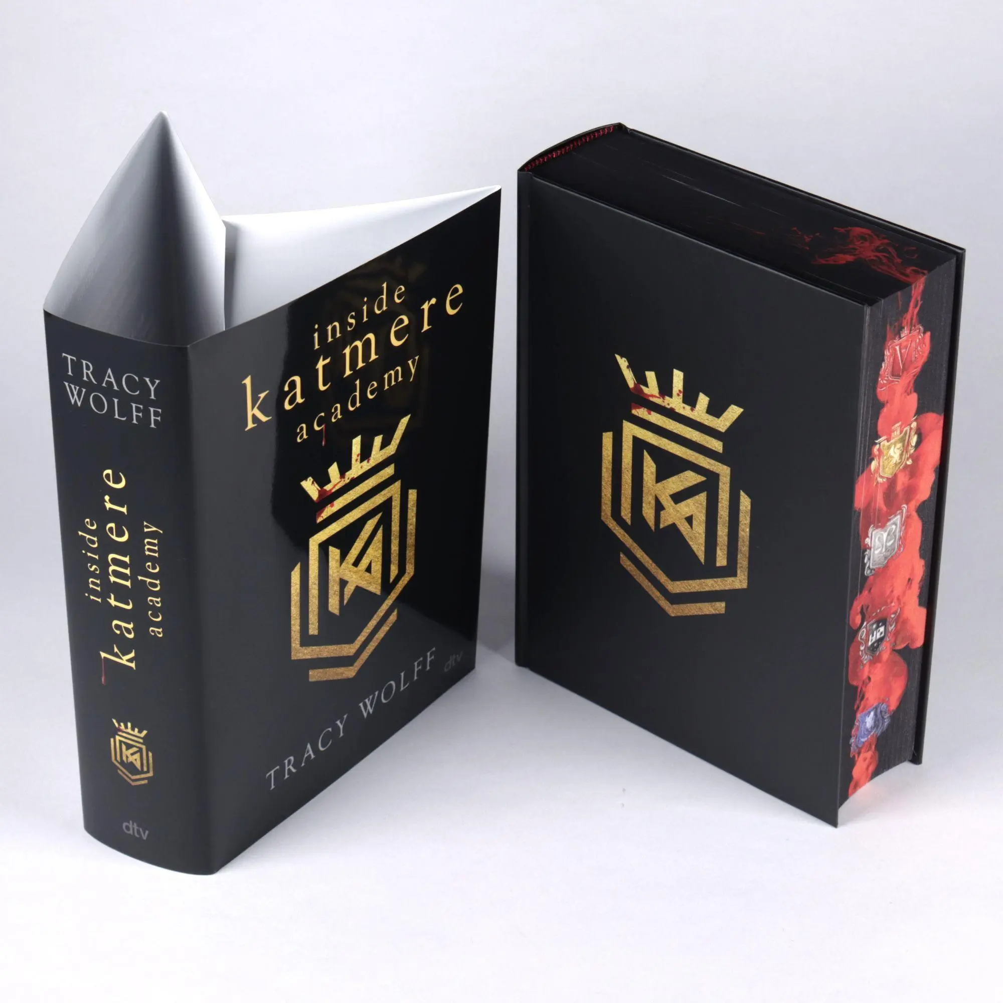 Bild: 9783423765732 | Inside Katmere Academy | Tracy Wolff | Buch | 640 S. | Deutsch | 2025