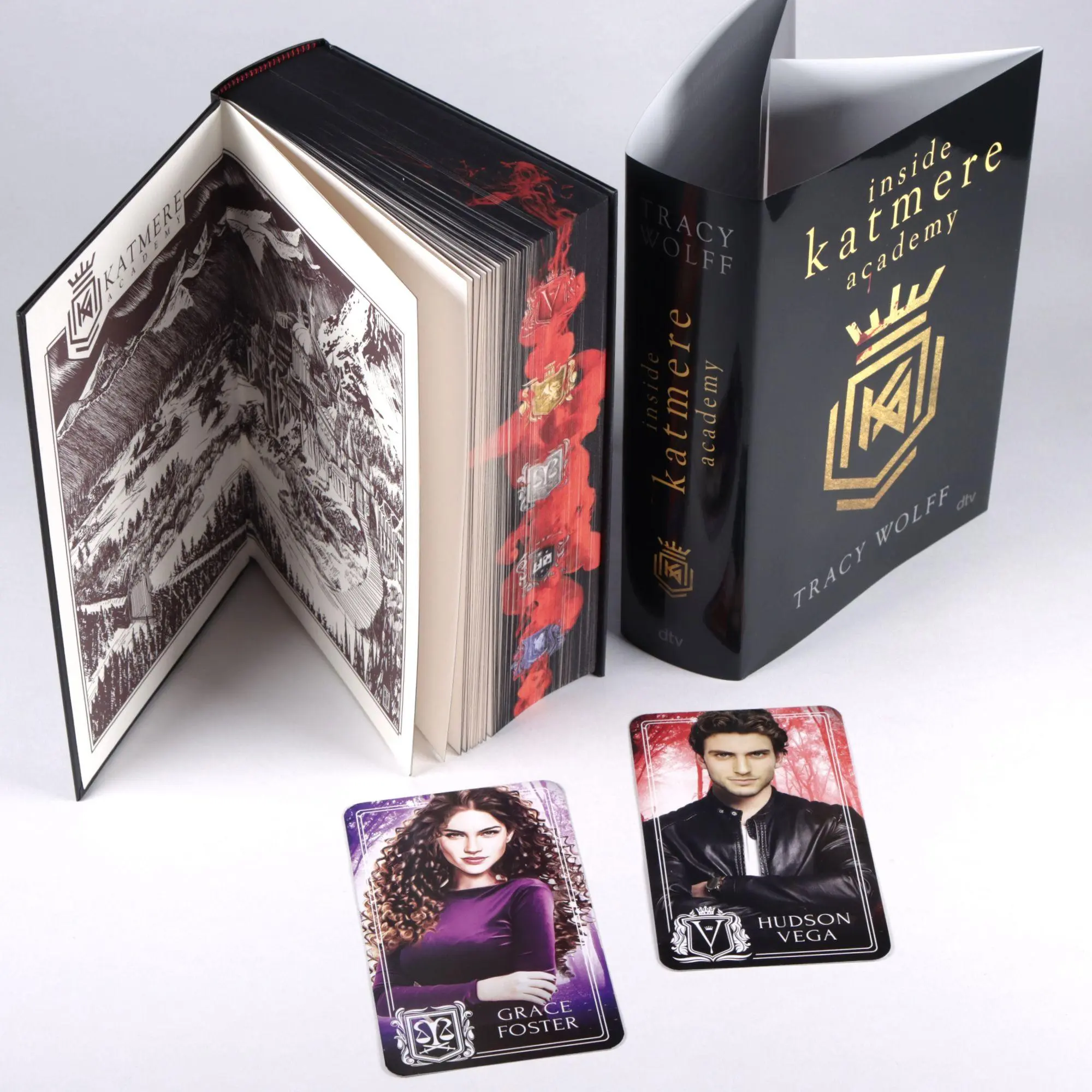 Bild: 9783423765732 | Inside Katmere Academy | Tracy Wolff | Buch | 640 S. | Deutsch | 2025