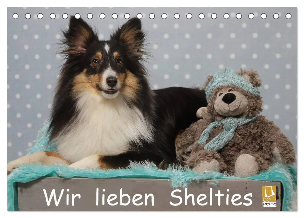 Cover: 9783516055832 | Wir lieben Shelties (Tischkalender 2026 DIN A5 quer), CALVENDO...