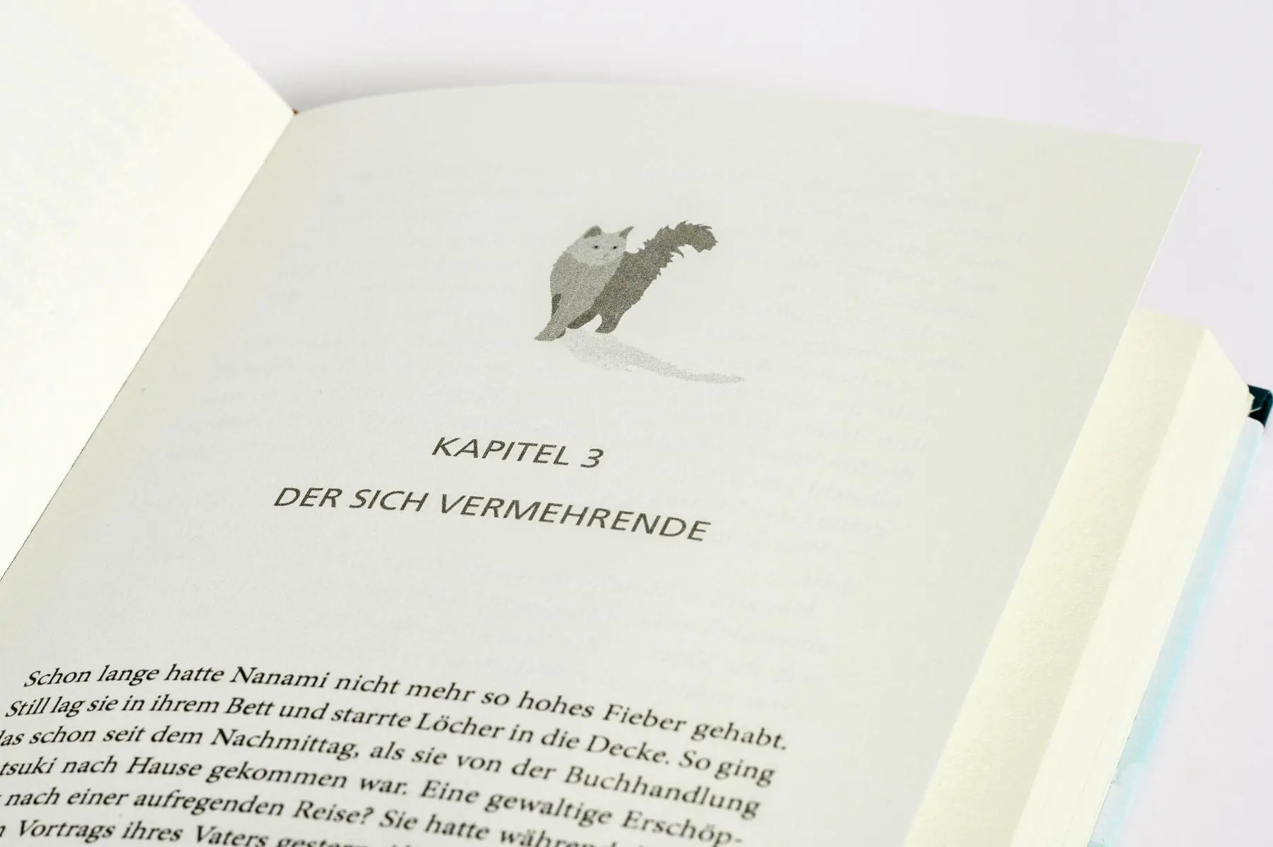 Bild: 9783570105832 | Die Katze, die unsere Bücher rettete | Sosuke Natsukawa | Buch | 2025