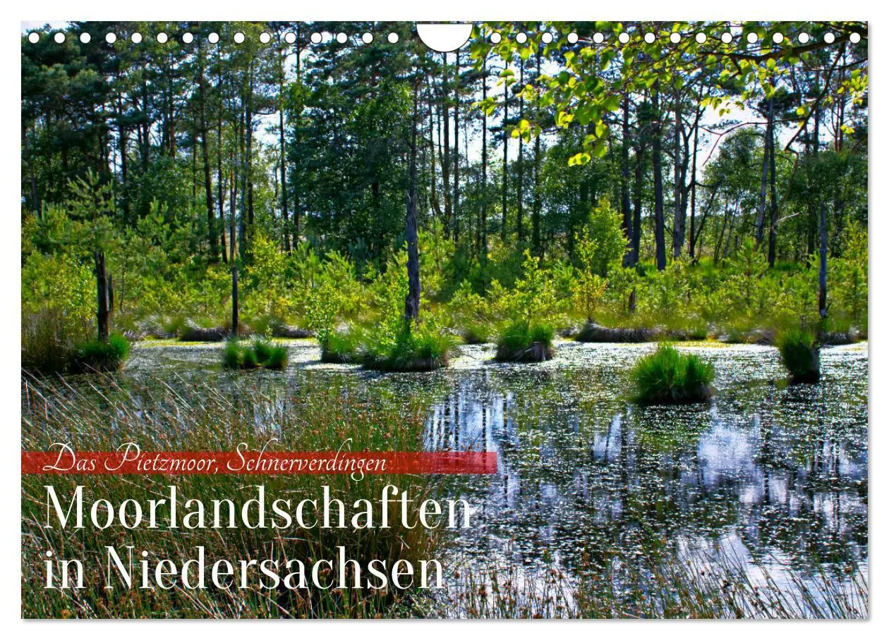 Cover: 9783457575932 | Niedersachsens Moorlandschaften - Das Pietzmoor, Schneverdingen...