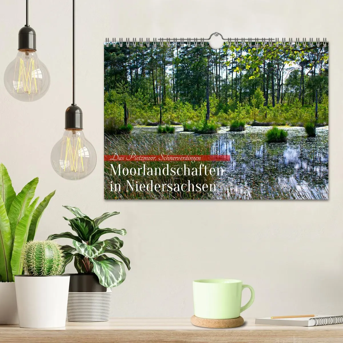 Bild: 9783457575932 | Niedersachsens Moorlandschaften - Das Pietzmoor, Schneverdingen...